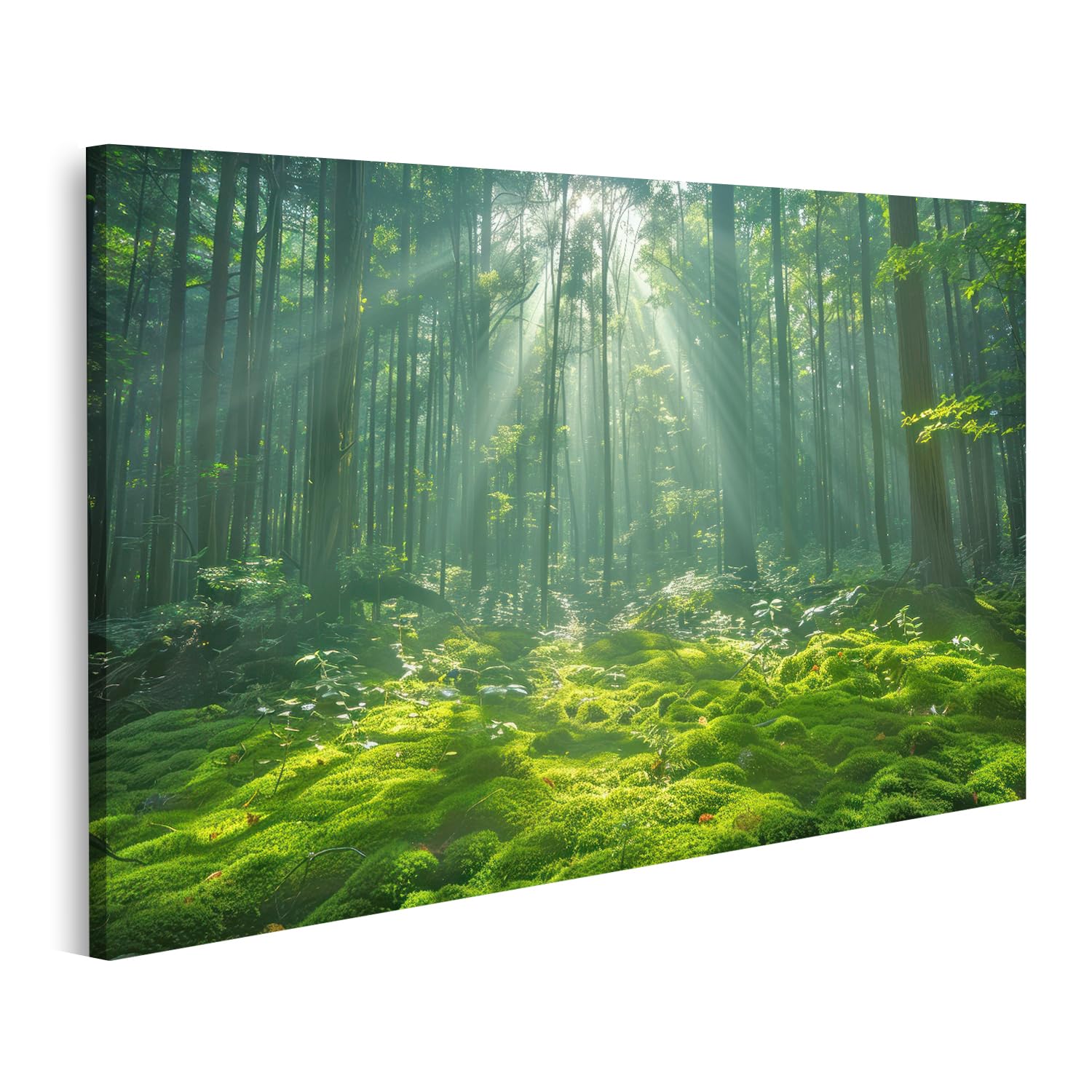 Image sur toile forêt pour illuminer un salon sombre ou hôtel