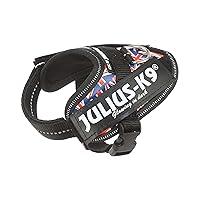 Julius-K9, Pettorina IDC Power