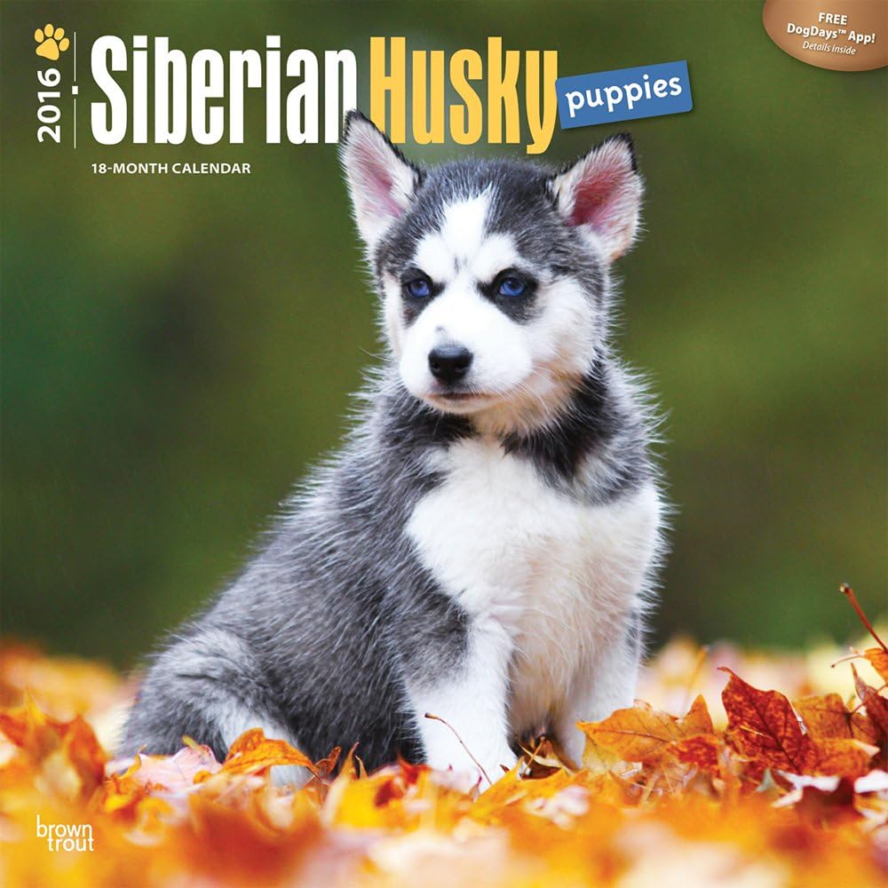 Headphone Jack Charger Adapter, 2 in 1 Earphone Audio Jack Cable Support