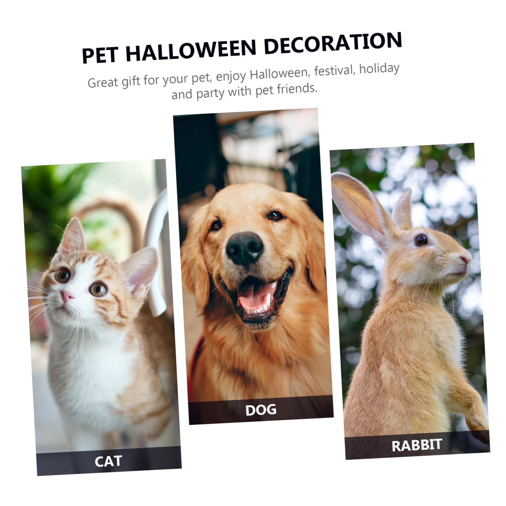 ibasenice 2 Pezzi Mantello Nero Per Animali Domestici Per Halloween Gatto Cane Costume Accessorio Foto Prop Forma Unica Strega
