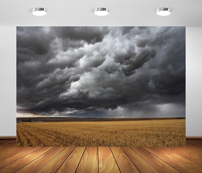 Fondo de tela Stormy Weather 7x5ft para fotografía y decoración miniatura 2