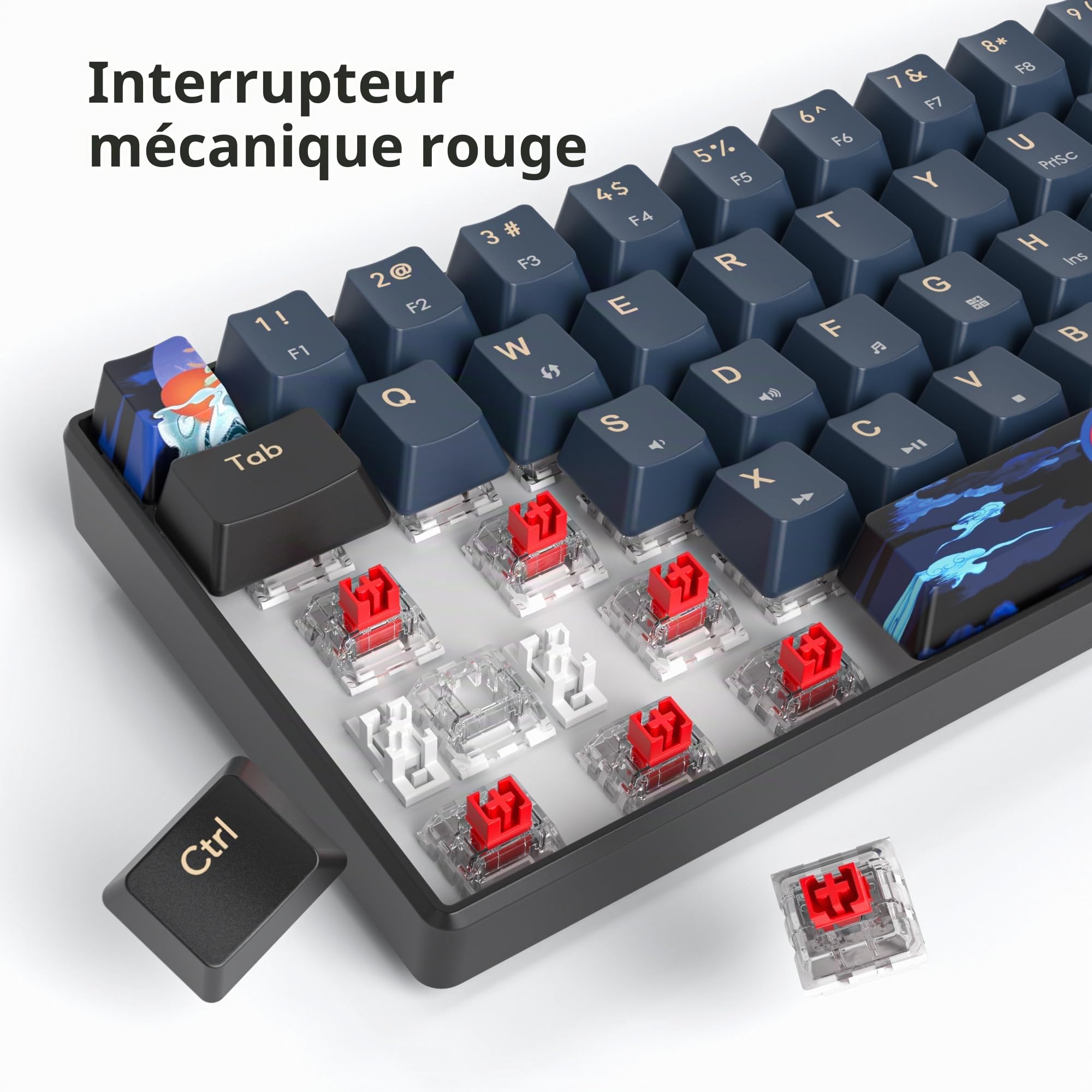 Clavier Gamer Mécanique 60%，Clavier 60 pourcent Filaire Gaming de Jeu Switchs Red, QWERTY American, LED Rétroéclairé, Mini 60% Claviers Gaming pour PC