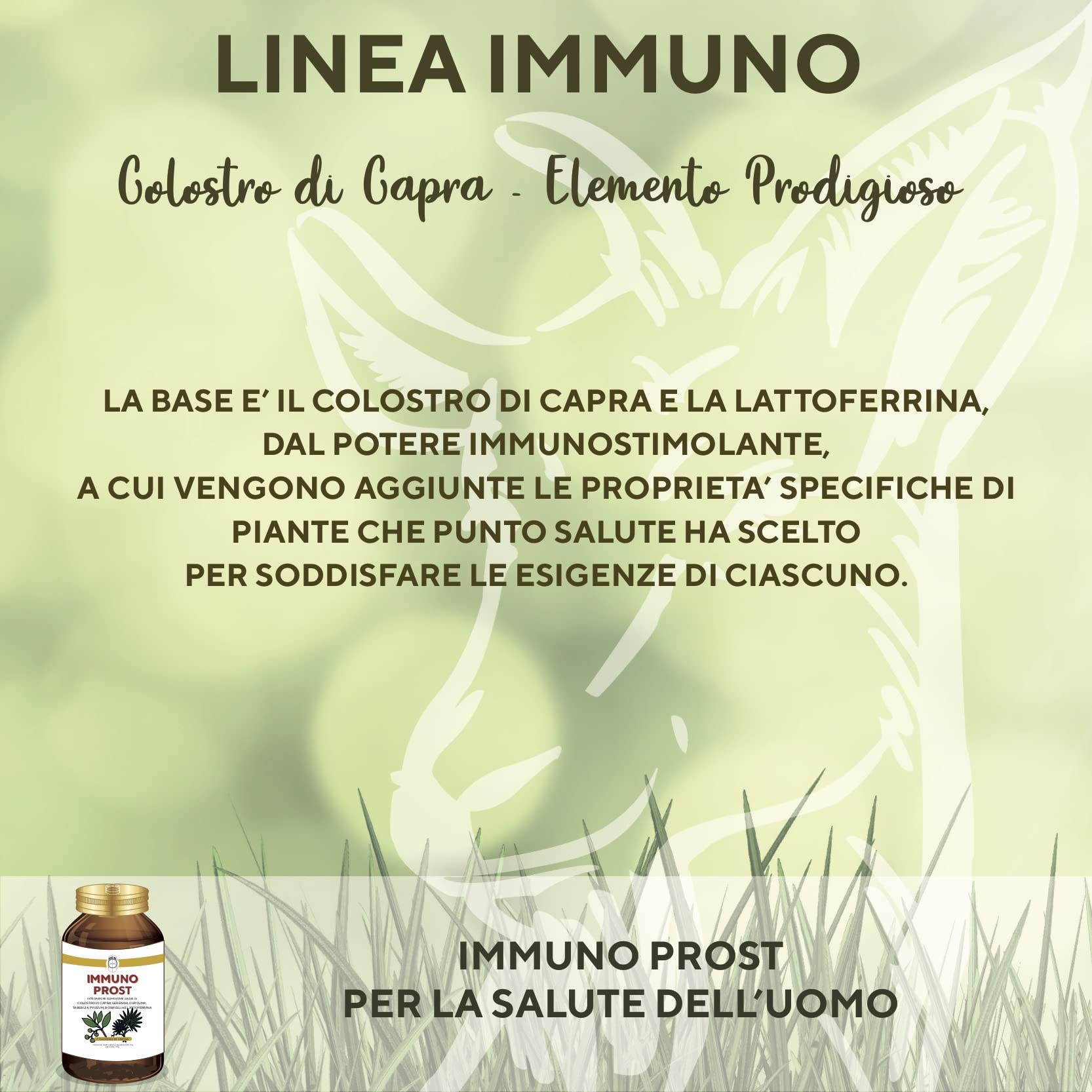 SEB - Immuno Prost - Integratore alimentare naturale per la salute della prostata. Rimedio naturale per contrastare le possibili complicazioni