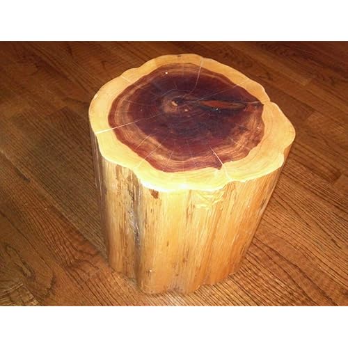 Tree Stump Stool Amazon Com