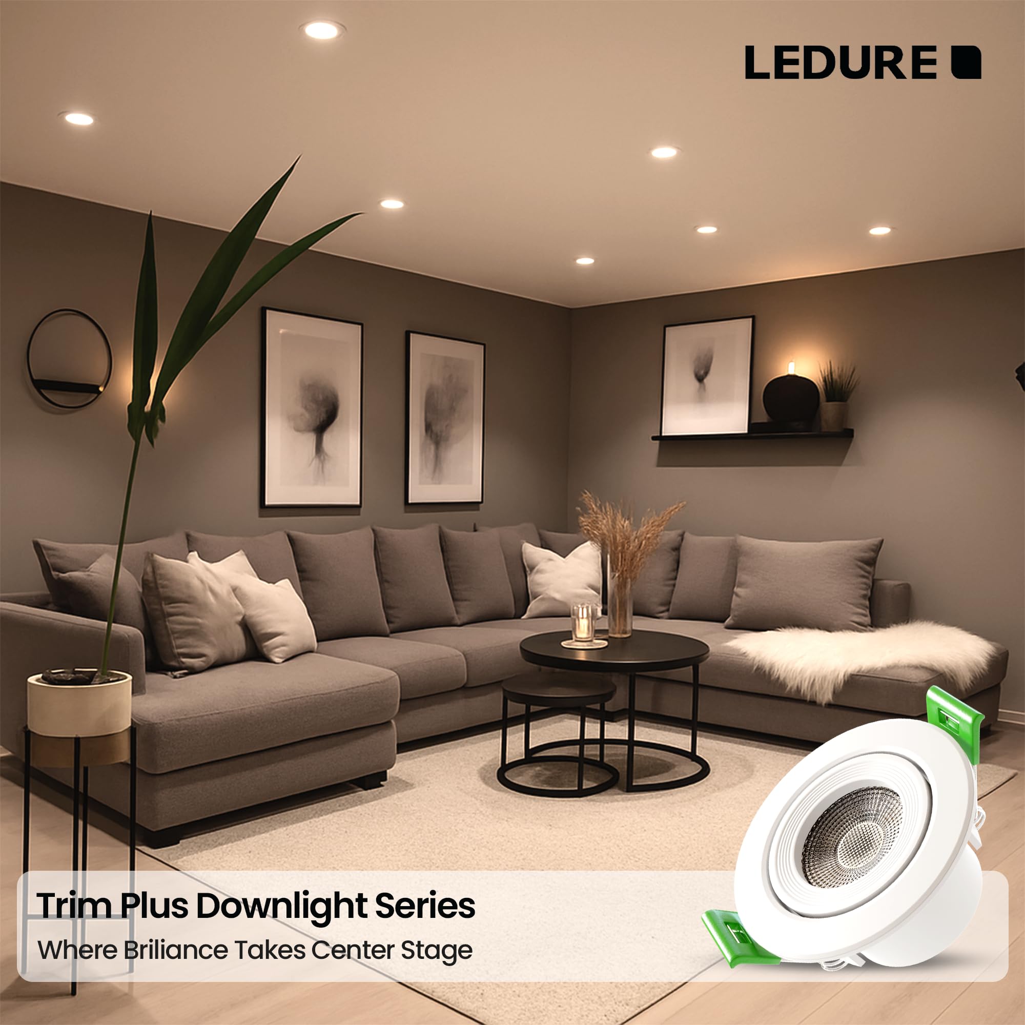 LEDURE Trim Plus 6W Spot Round Conceal Box & Ceiling Led Downlight with Adjustable Tilt | Cut Out 59mm, Warm White - Pack of 1 1
