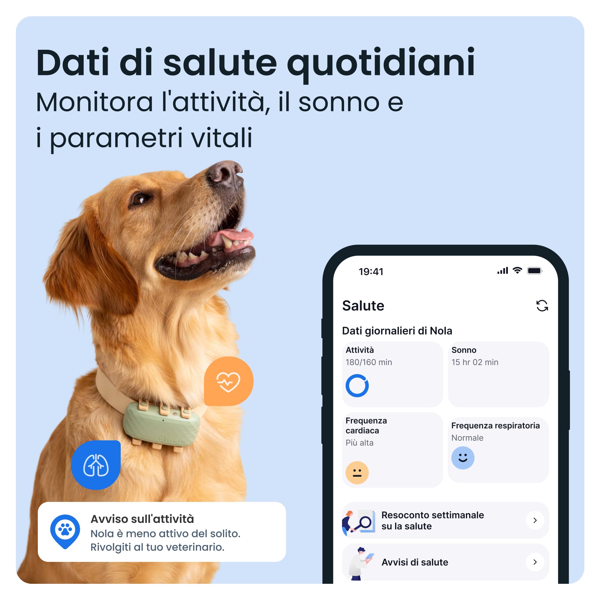 Tractive - GPS per cani XL - Fino a 1 mese di autonomia - Localizzazione in tempo reale in tutto il mondo - Notifiche antifuga - Monitoraggio dell'attività con avvisi di salute