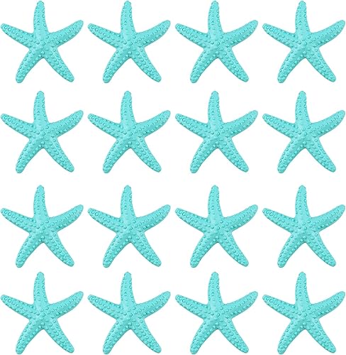 Framendino, Paquete de 30 adornos de resina de dedo pequeño para decoración de conchas marinas para bodas, playa, fiestas temáticas, manualidades,