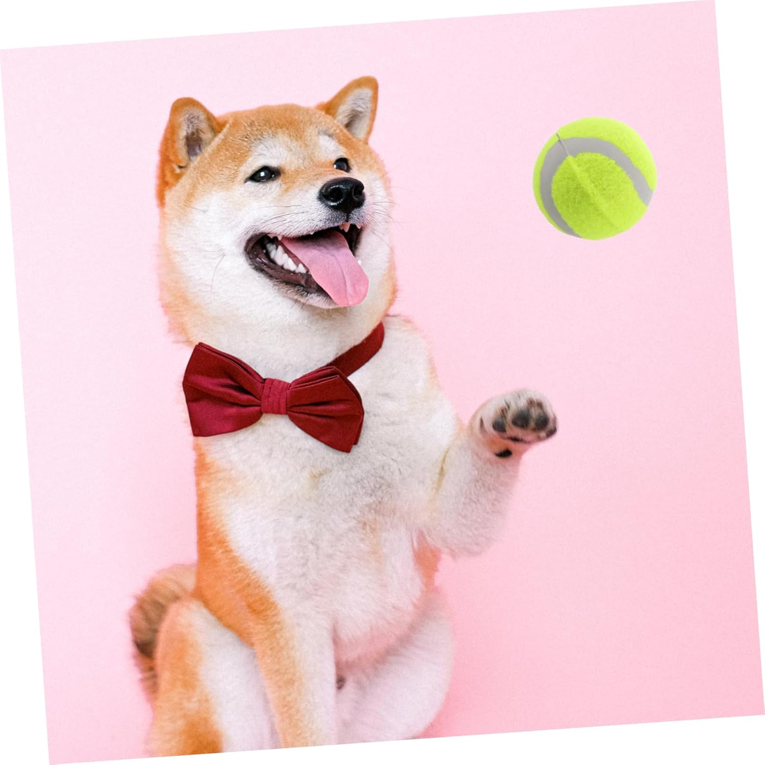 POPETPOP 22pcs Dog Tennis Balls Durable Rubber Training Balls for Large Medium Small Dogs Interactive Pet for Play and Exercise Essential Supplies for Active Pets