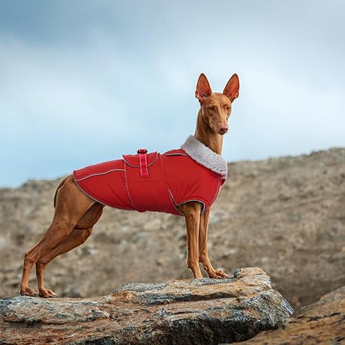 Miniatura 8 de Lelepet Abrigo cálido para perro, chaleco reflectante de vellón para perro, chaqueta impermeable para perro, abrigo de invierno para perro, abrigo