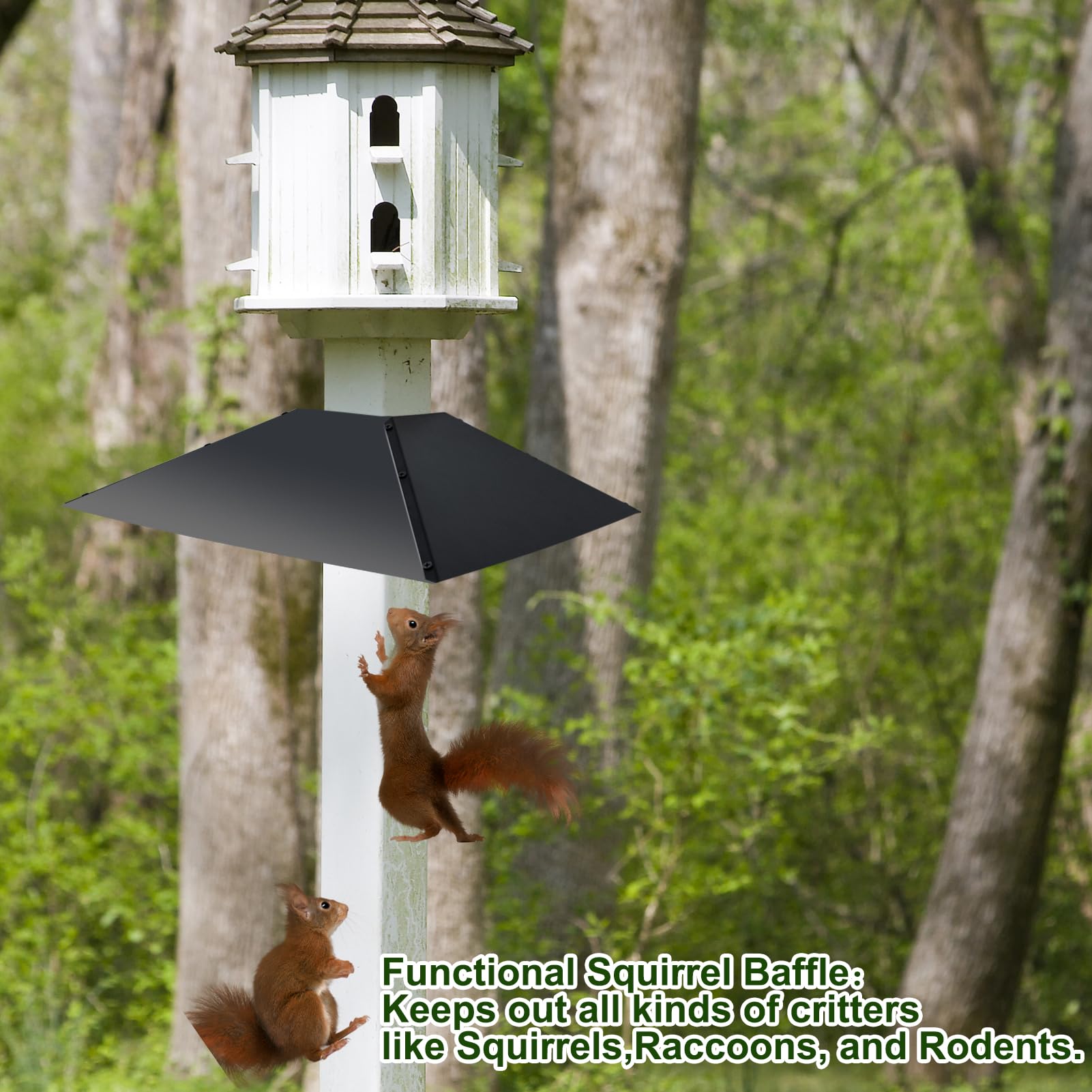 Déflecteur Anti-Écureuil Universel 40,6 Cm - Protection Mangeoire Oiseaux Suspendue Ou Sur Poteau