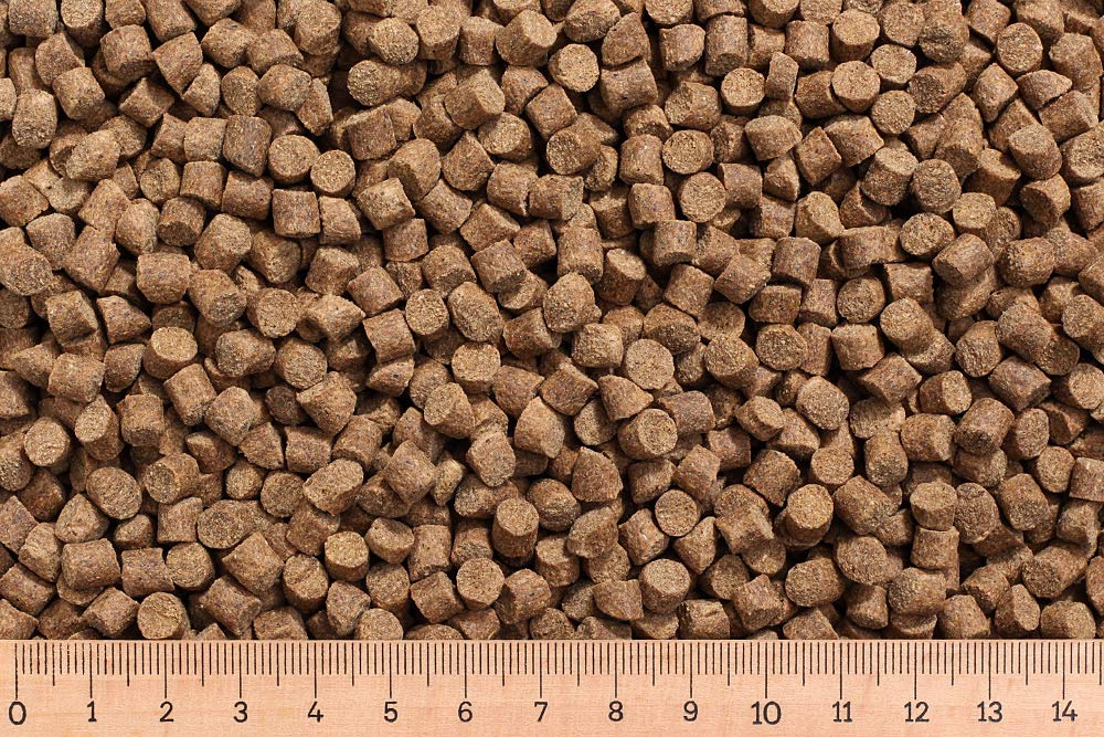 (Grundpreis 1,95 Euro/kg) - 25 kg Karpfenfutter AC 6,0 mm 30/7 - sinkend - Karpfen - Karpfenpellets