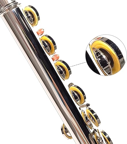 Miniatura 11 de LeSage Flauta C de agujero cerrado de 16 teclas azul para estudiantes principiantes con estuche, kit de mantenimiento, paño de limpieza, pie C