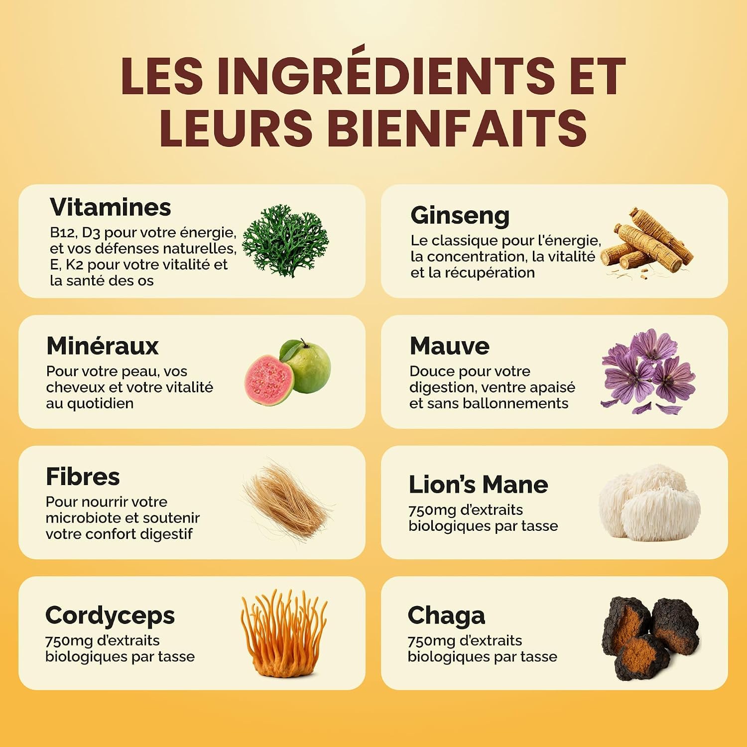 BONJOUR – Boisson Cacao aux Champignons Lion's Mane, Chaga, Cordyceps, Plantes Adaptogènes Ginseng et Vitamines B12, D3, E, K2–Zinc, Sélénium, Fibres, Sans Sucres, Vegan–Fabriqué en France–45 Portions