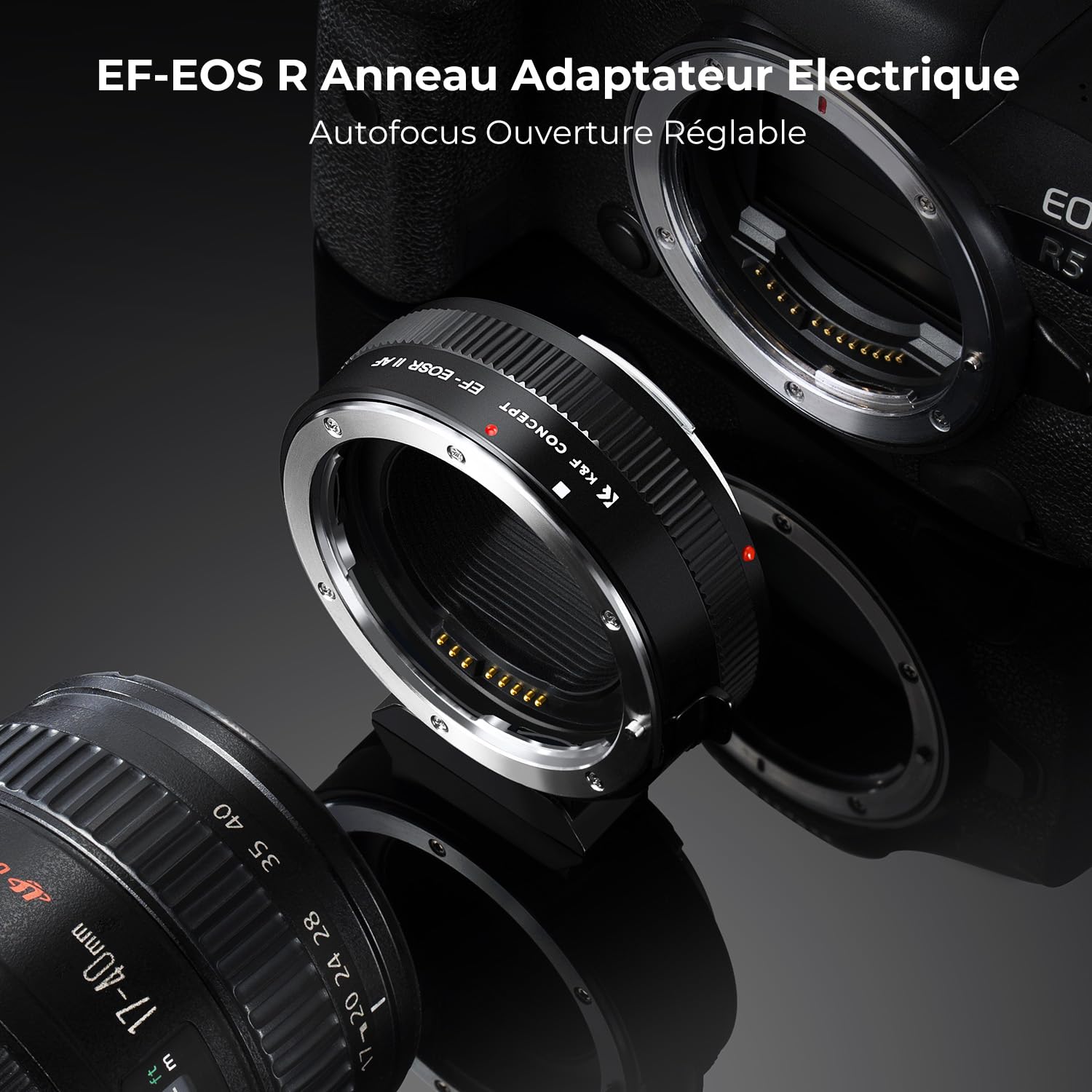 K&F CONCEPT compatibile Con Canon Auto EF/EF-S vers EOS R Adaptateur Métal avec Autofocus avec étui de Protection