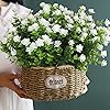 Product Photo 5