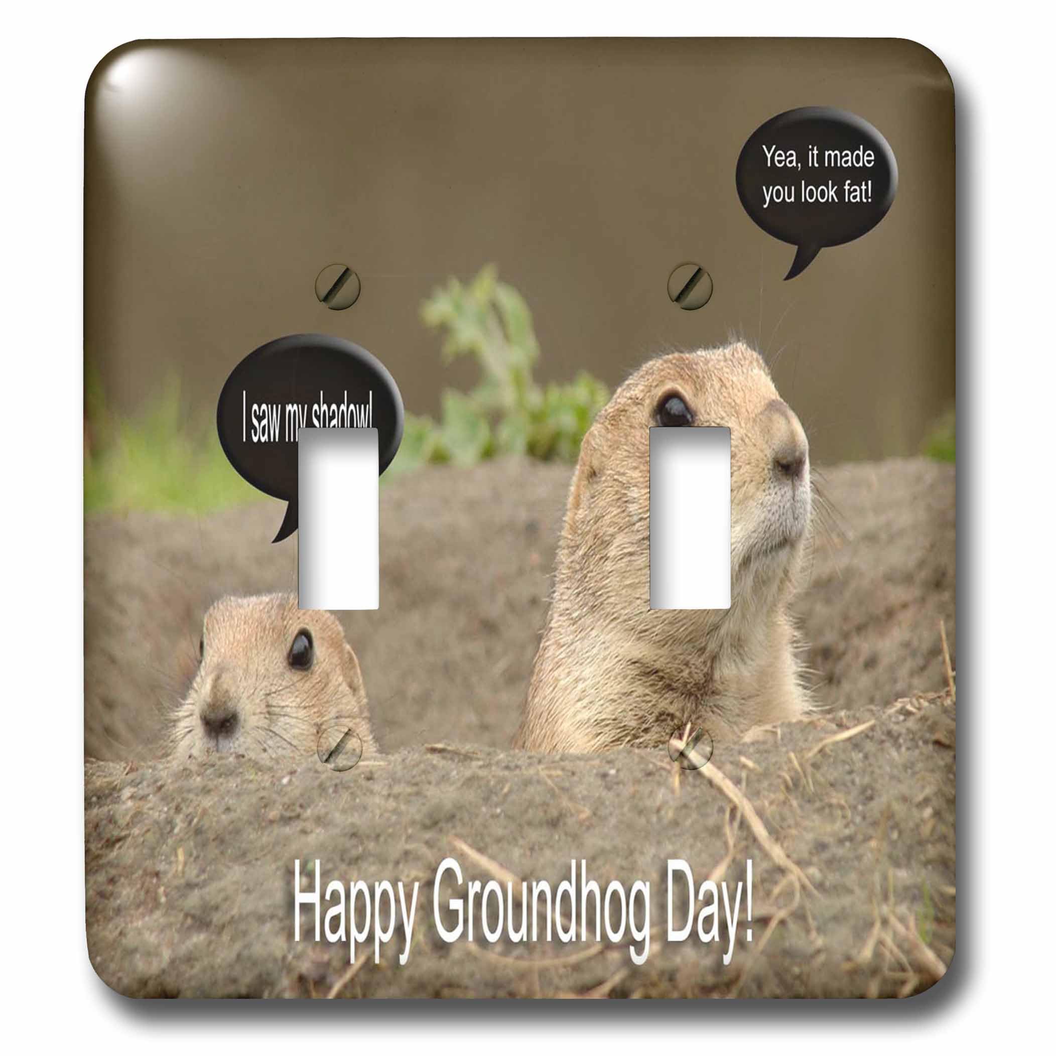 Interrupteur à baïonnette 3dRose LSP_27350_2 Groundhog plaque murale multicolore interrupteur déco