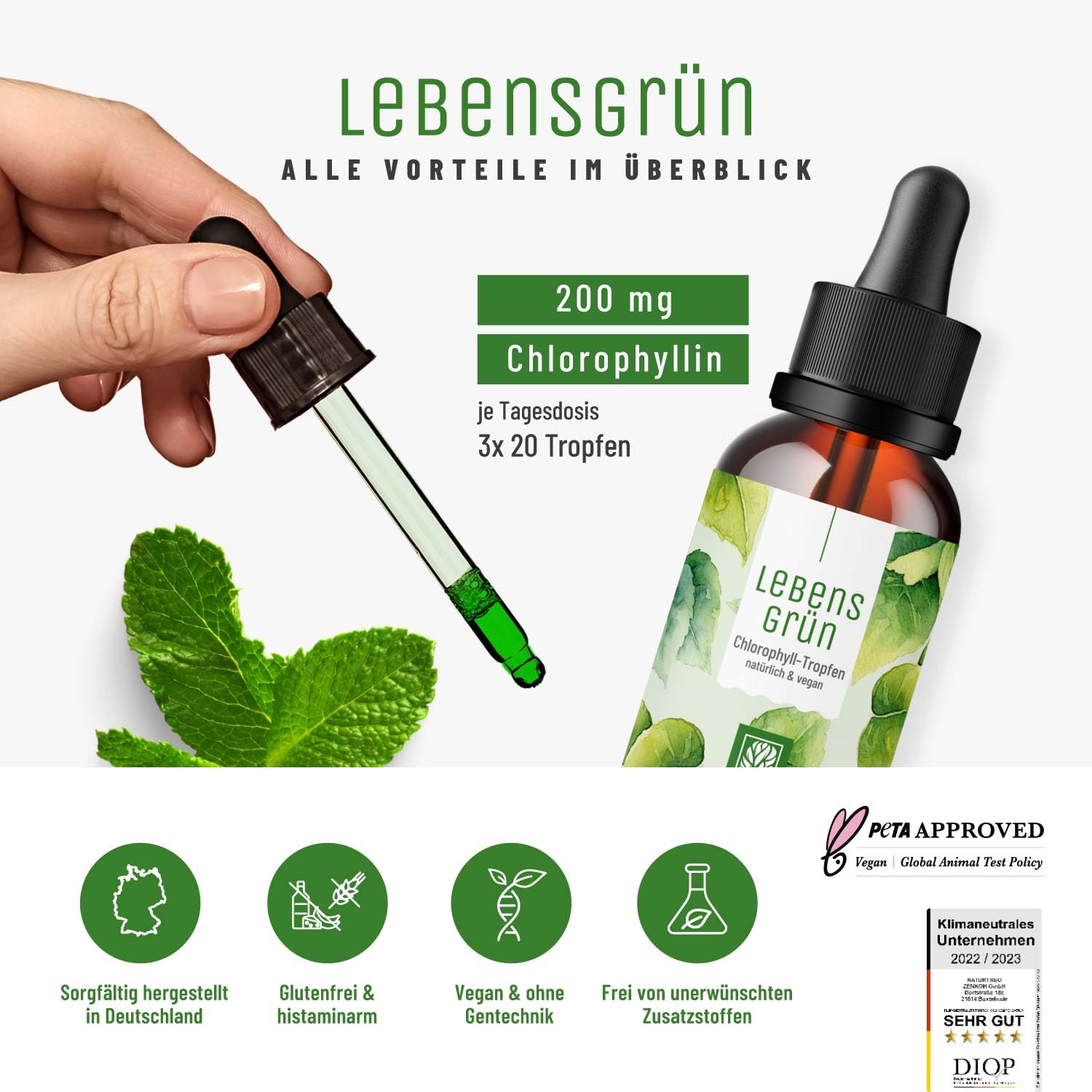 Lebensgrün Chlorophyll flüssig aus Alfalfa - 50ml - 200mg liquid Chlorophyll je Tagesdosis - Tropfen als Alternative zu Tabletten, Vegan
