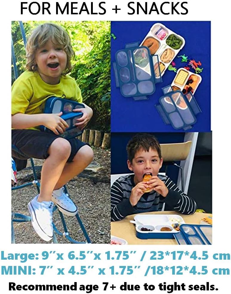 kinsho Bento Lunch-Box Set for Kids includes Snack Container | 6 and 3 Compartment Boxes Leakproof School Bentos, Meal Portion Control Containers, Boys Girls Adults, Navy Blue Large + MINI 2 Pack Set