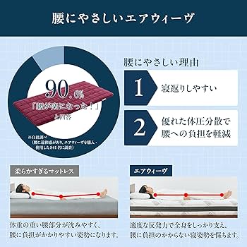 新品未開封 真綿掛け布団 TENI-MUHO 4580584122009_01.jpg