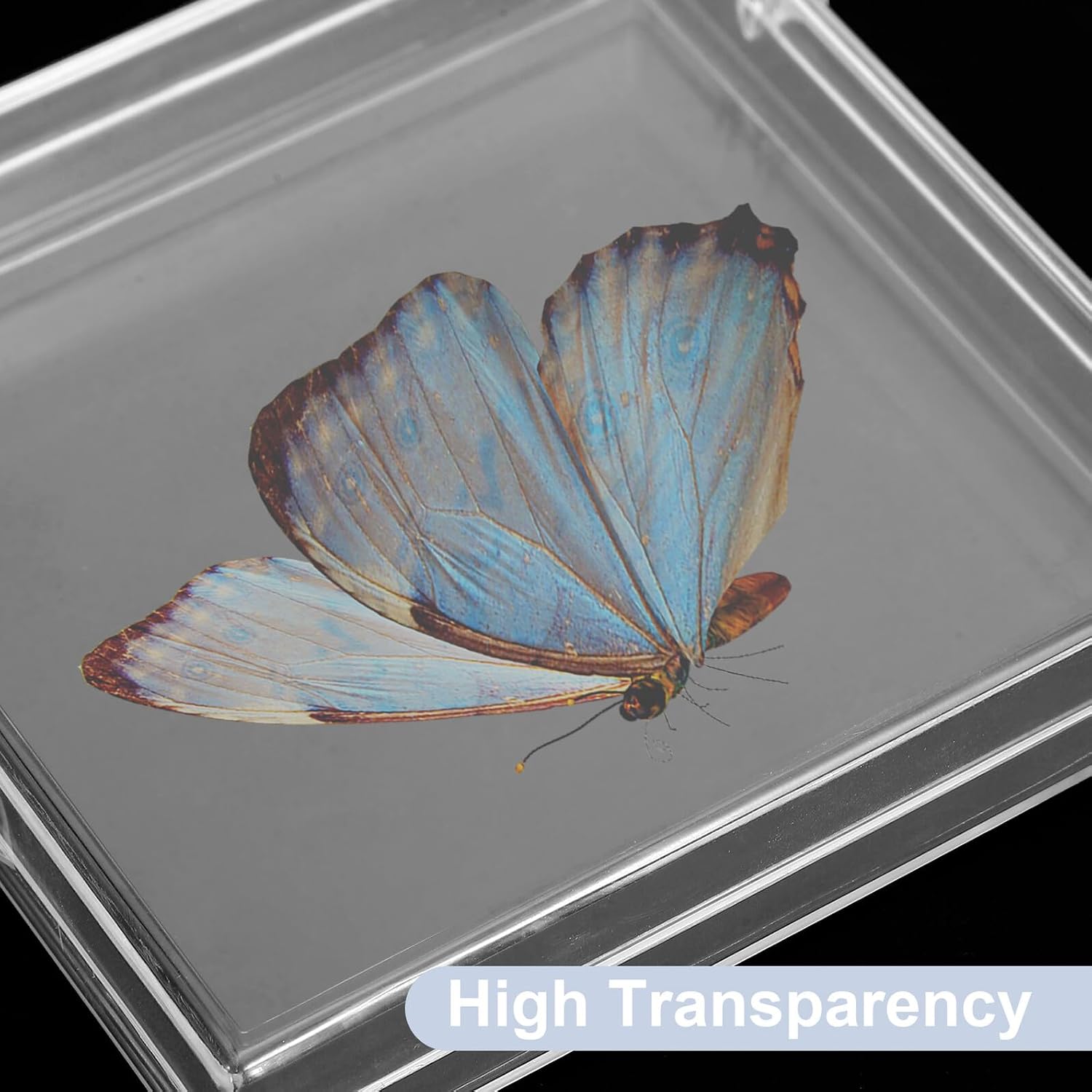 6Pcs Small Butterfly Specimen Boxes – Hinged Plastic Display Cases with Lids for Insect Display and Memory Keepsakes, Portable Storage Containers for Science Education and