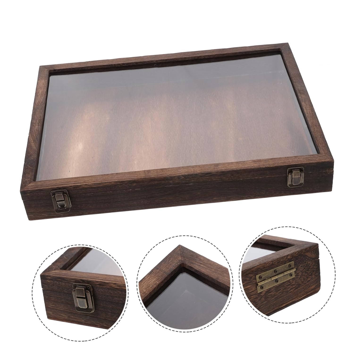 Butterfly Specimen Display Box Wooden Collection Case Insect Storage Case Framed Display Box Design