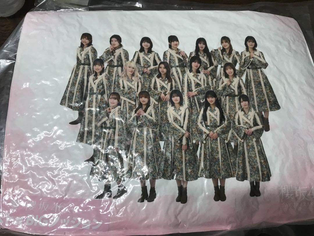 Amazon.co.jp: 櫻坂46 ローソンくじ ラストワン賞 BIGクッション