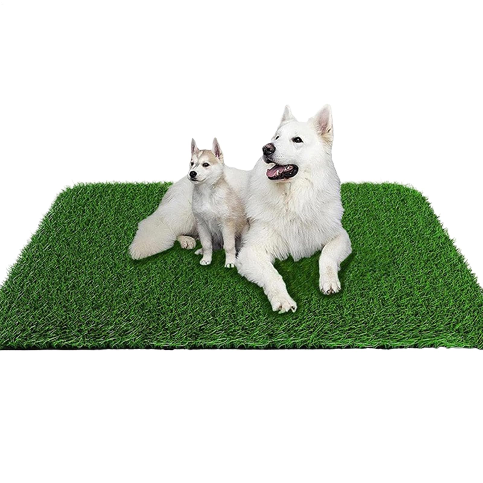 Alèses pour Chiens d'Éducation en Artificielle à Chiots