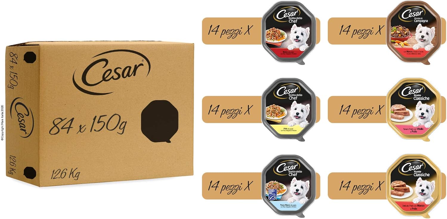 cibo saggio per cani