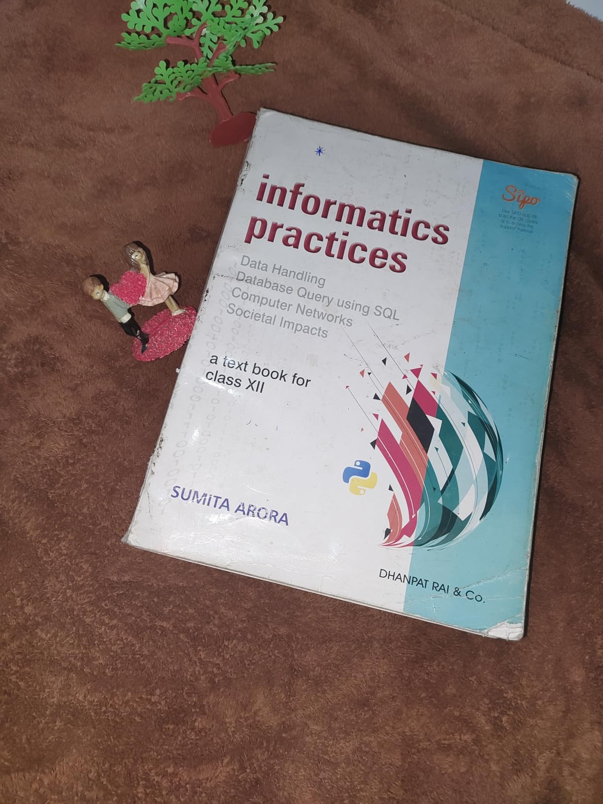 A Text Book Informatics Practices for Class 12 - by Sumit Arora (2024 ...