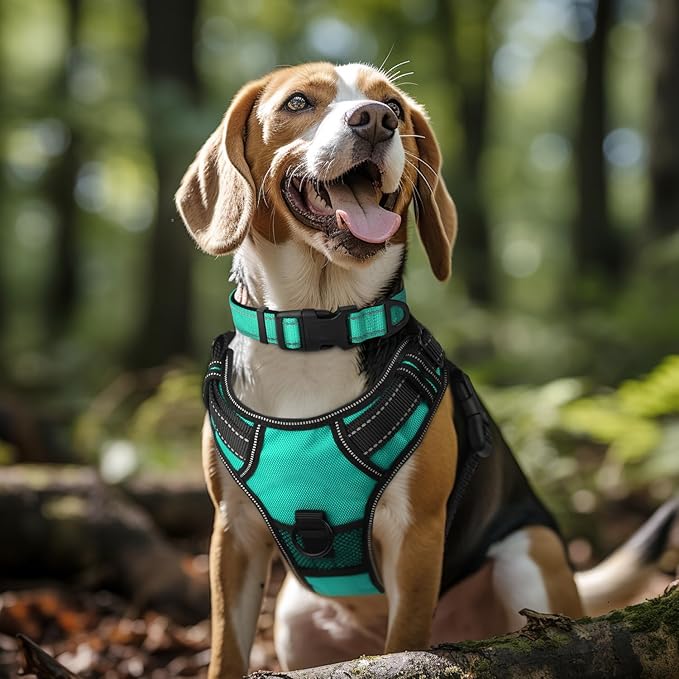 Collar Reflectante para Perro Joytale, Neopreno Suave, Nailon, Teal, L miniatura 2