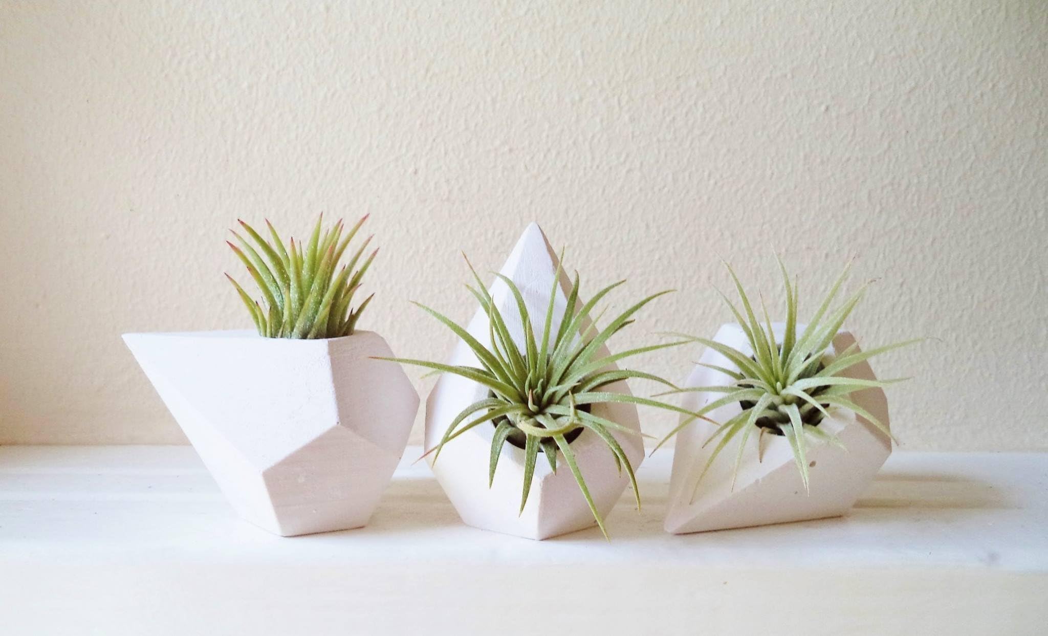 Geometric planter trio, MINI teardrop air plant holders, faceted mini plant container