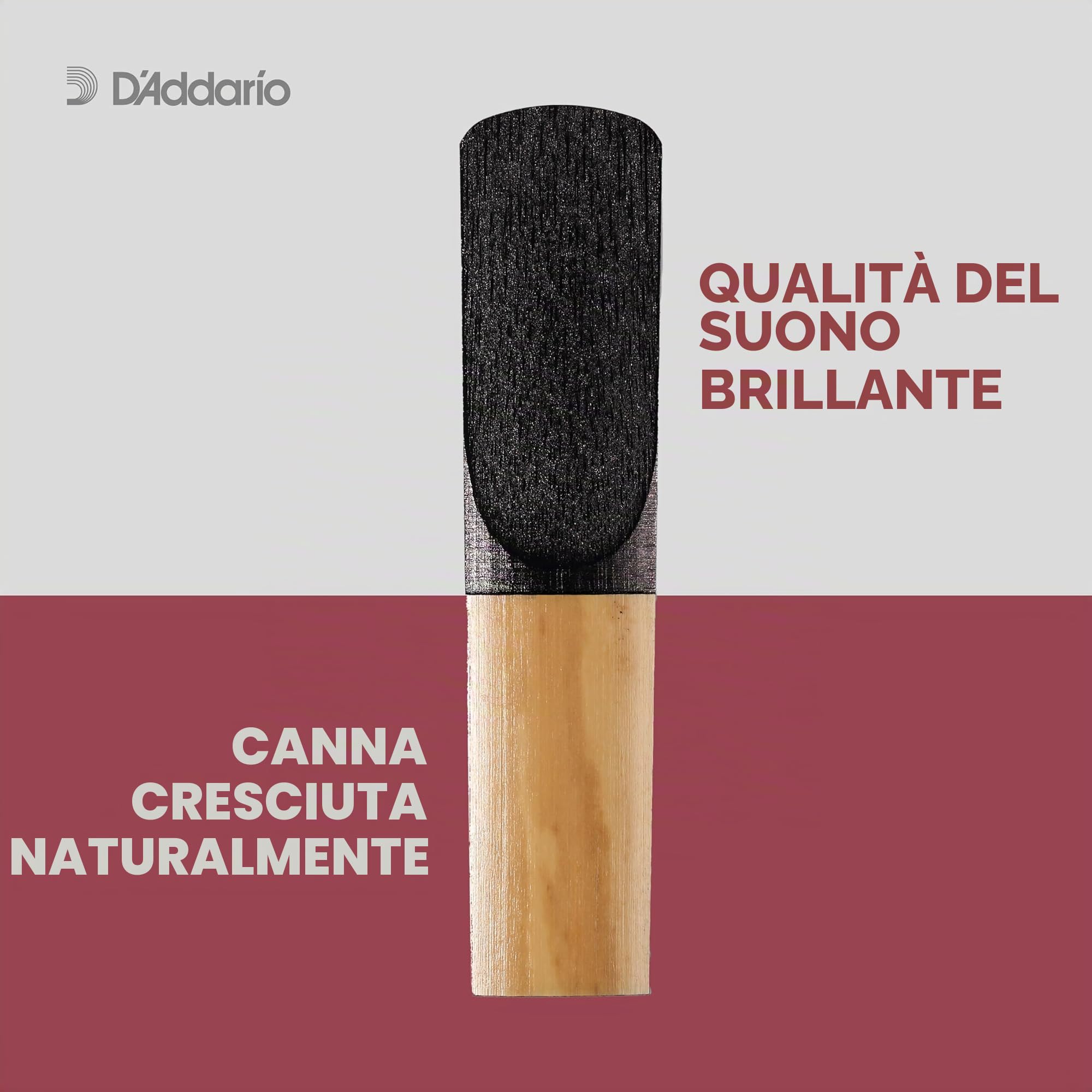 Confezione da 5 ance Rico Plasticover per sassofono baritono, durezza 2,5