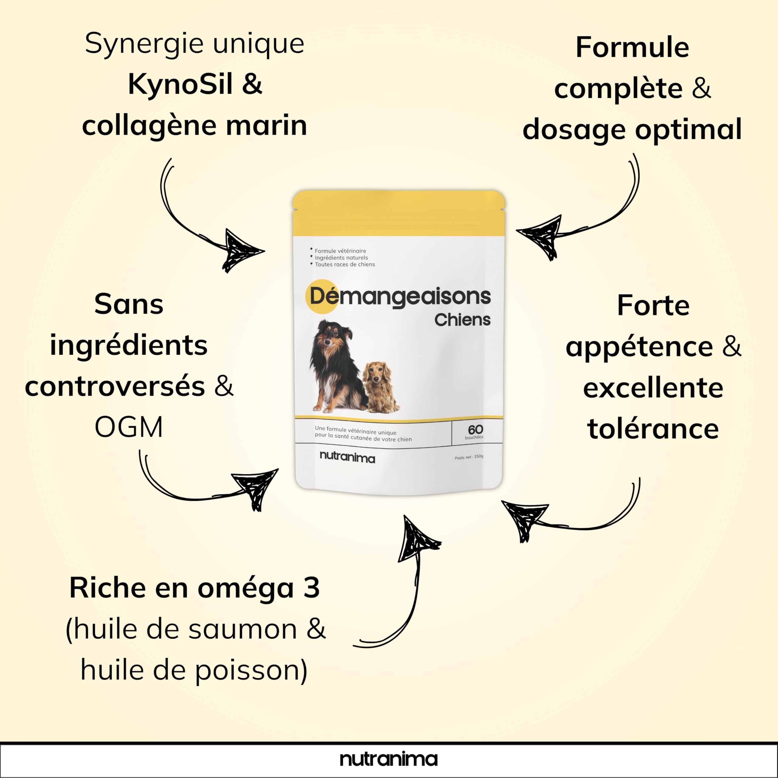 Démangeaisons Chien | KynoSil® Silicium & Collagène | Oméga-3, Probiotiques, Biotine & Zinc | Complément Peau & Pelage | 60 bouchées | Formule Vétérinaire Française