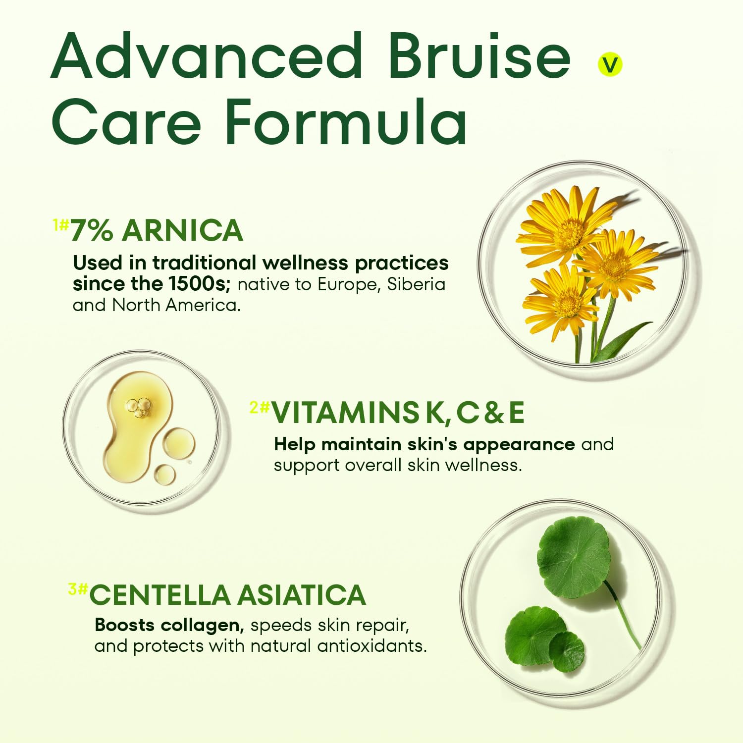 Arnica Cream for Bruising and Swelling: Extra Strength Arnica Bruise Cream with Vitamins K C E for Seniors Aged 55 and Above - Fast Healing Formula Ideal for Thin Skin 3.5 oz - Image 3
