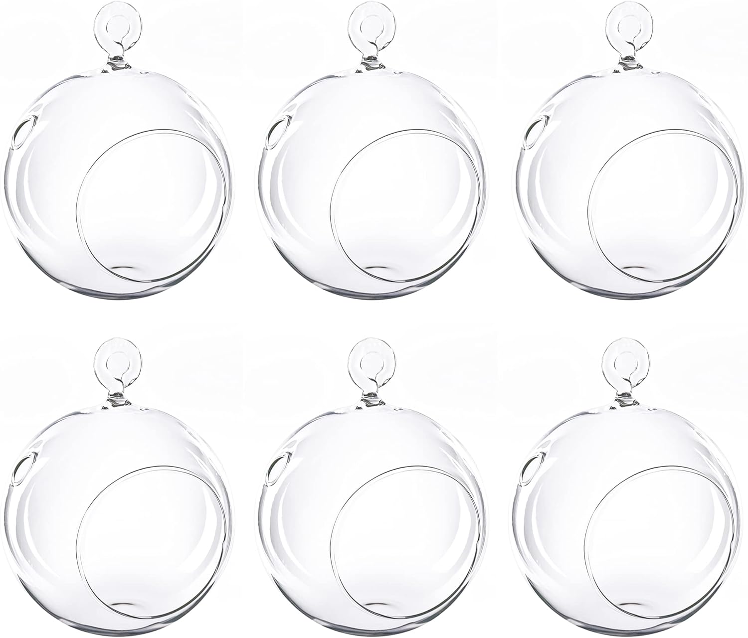 CYS EXCEL 3" Hanging Glass Orb Terrariums (6 PCS) Air Plants Planter Globes