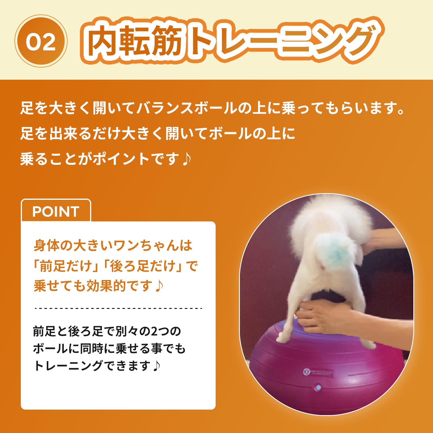 Amazon | アプリア ドーナッツボールプラス 犬用 バランスボール 動物