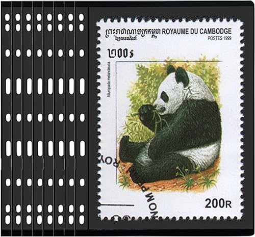 MUQING Páginas de sellos de 1 fila para carpeta de álbumes, 30 hojas de sellos para coleccionistas, libro de suministros de colección de sellos