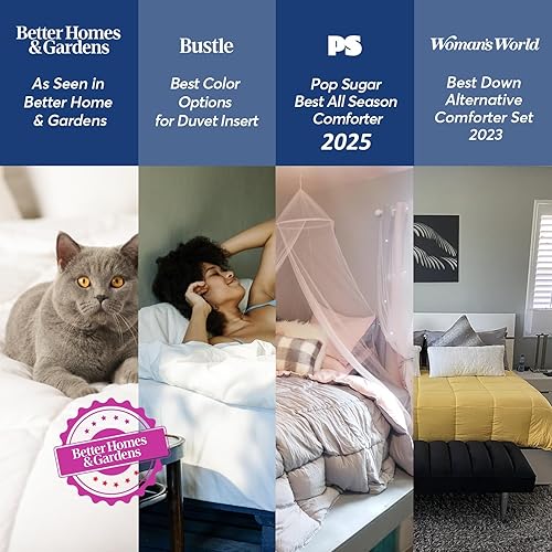 Miniatura 2 de KASENTEX Juego de edredón morado ultrasuave de fácil lavado, tamaño Queen, estampado de uvagris gaviota