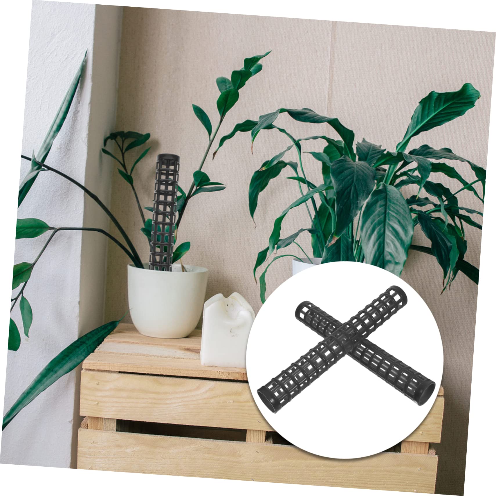 10pièces Poteaux De Mousse pour Plantes Grimpantes Supports Plastique pour Monstera Et Vignes Lot de Faciles à Installer Pots Intérieur