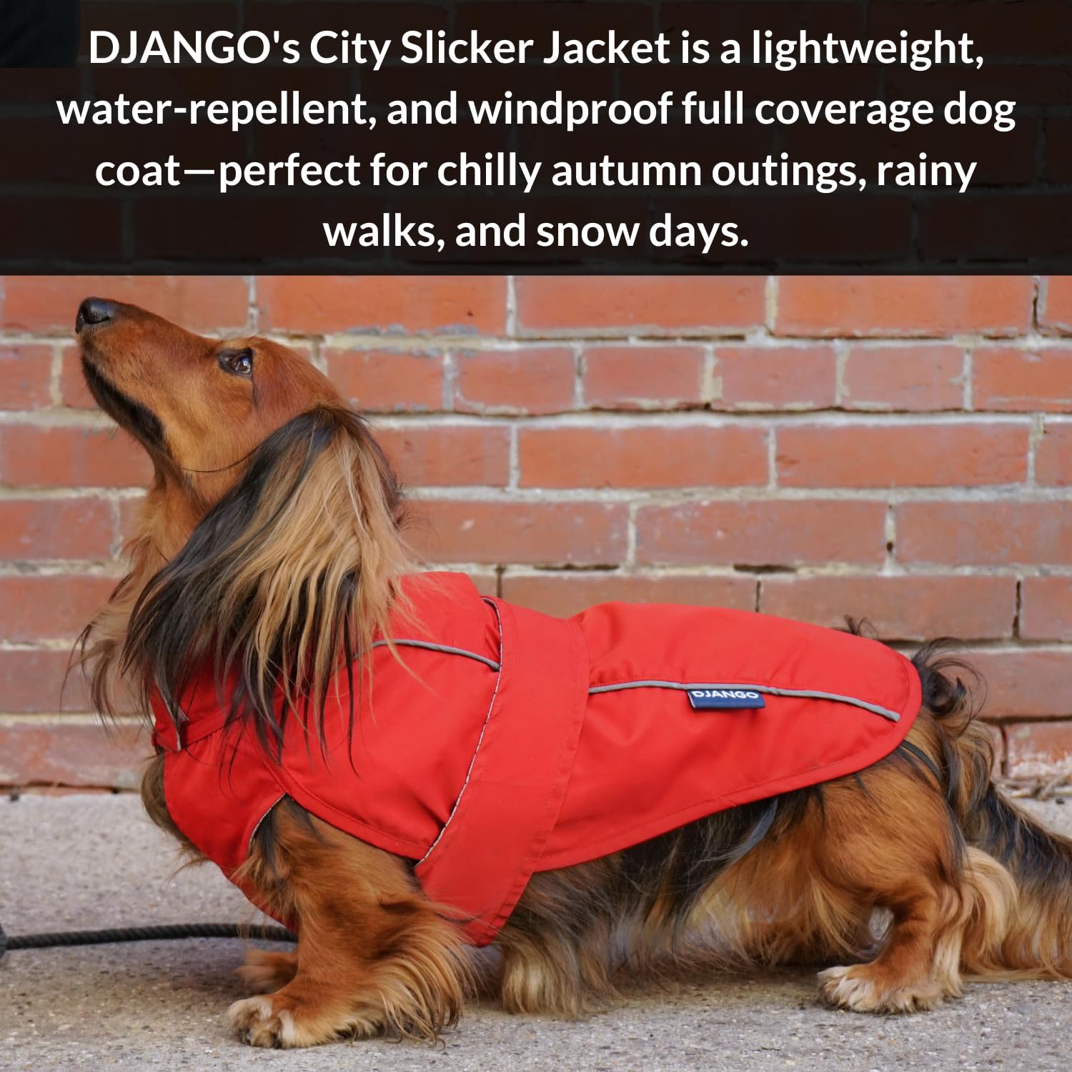 DJANGO City Slicker Waterproof Dog Raincoat and Lightweight Jacket for Long Dogs - Full Coverage Puppy Coat and Reflective Rain Slicker and Windbreaker - Adjustable with Harness Hole (Red, Small)