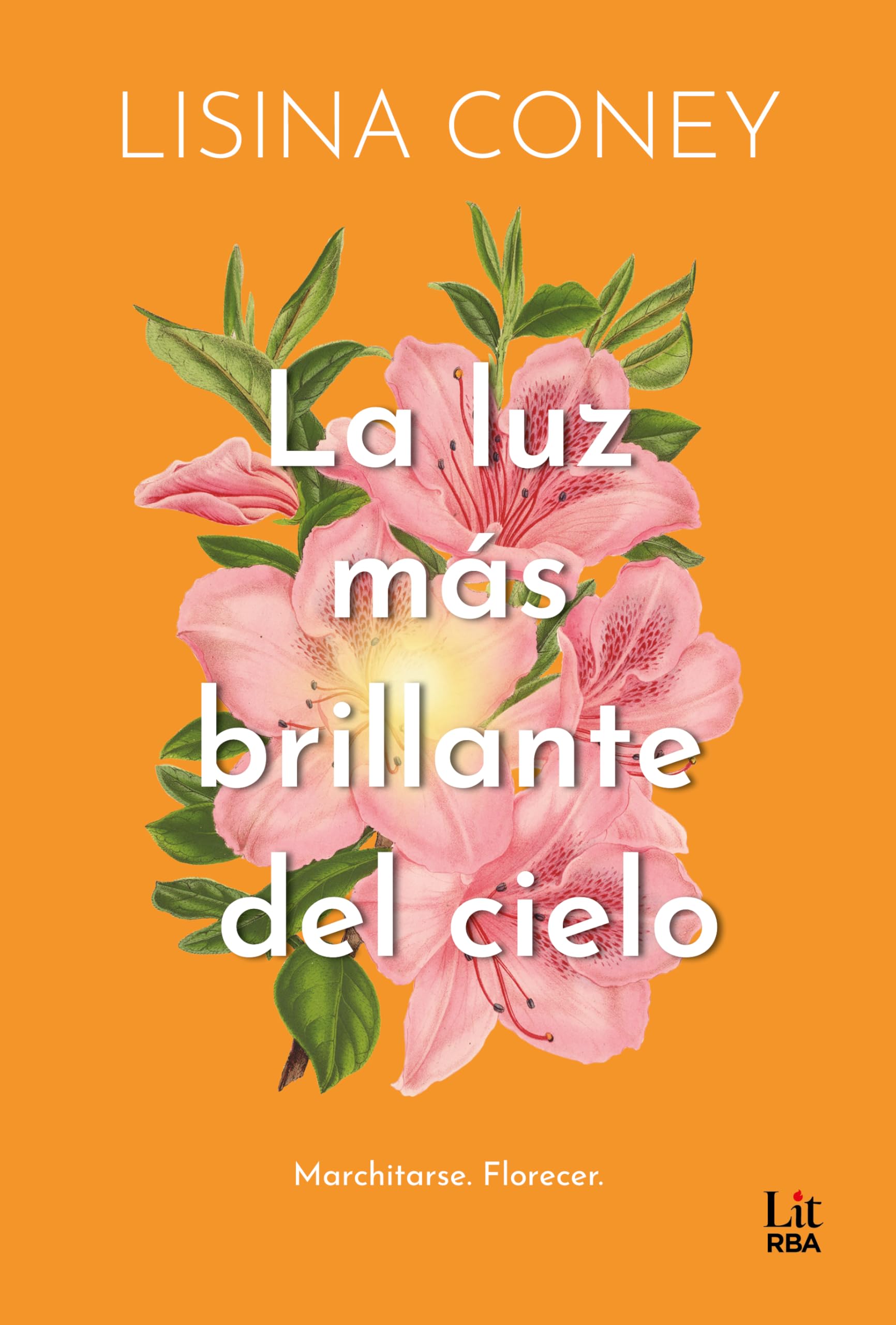 La luz más brillante del cielo (RBA Lit - Romántica)