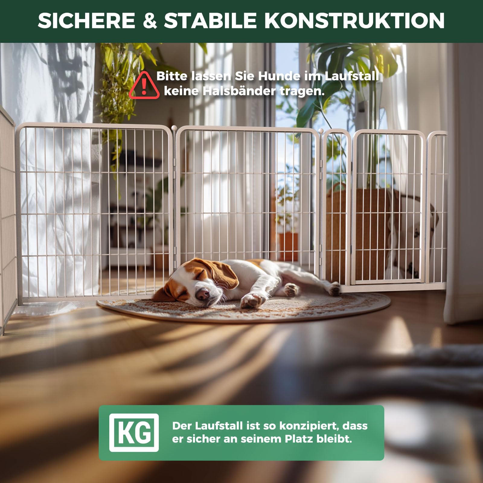 fxw Homeplus Enclos pour Chiens, 80cm 8 Panneaux De Fil Stables pour Chiots Et Chiens pour Chiots Et Petits Chiens, Blanc │ Breveté