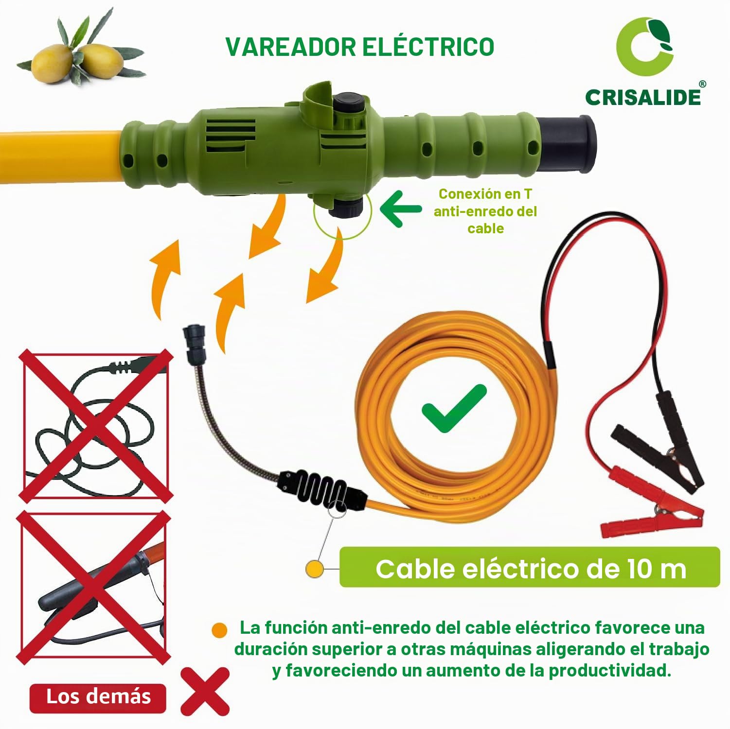 Crisalide® - Oliviero Synthesis - Vareador recogedor de aceitunas a batería de 12 V, barra fija de 2,5 m