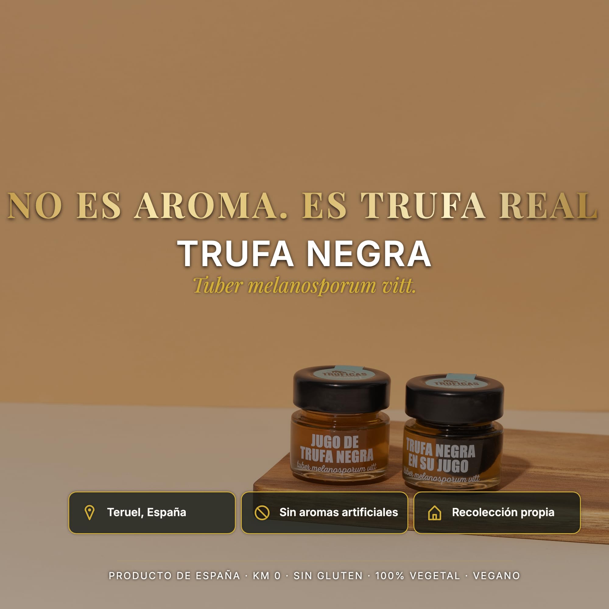Trufa Negra en Jugo (Tuber Melanosporum) 30g Teruel España