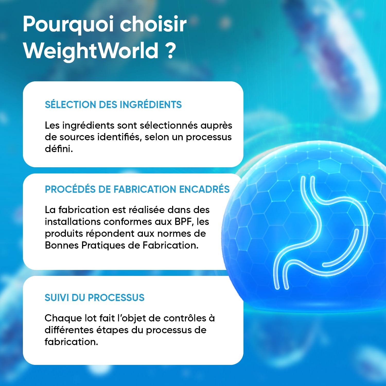 Probiotiques et Prébiotiques, 60 Milliards d'UFC 20 Souches Prébiotiques et Probiotiques, 120 Gélules Vegan, Lactobacillus Reuteri, Lactobacillus Gasseri, Plantarum, Bifidobacterium Longum, Infantis