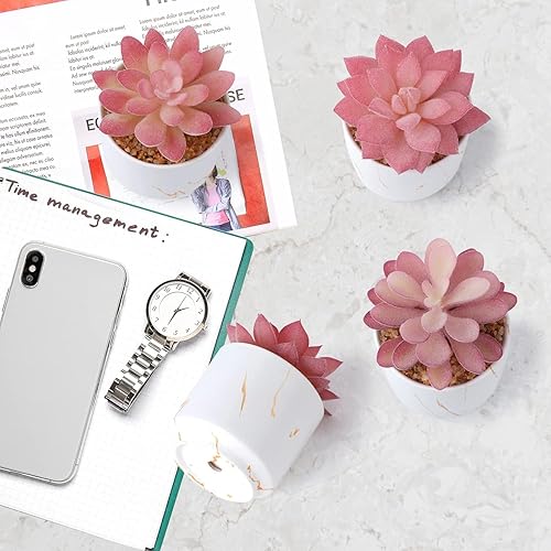 Miniatura 7 de Plantas artificiales suculentas, bonitas suculentas falsas en 4 macetas de cerámica blanca, pequeñas plantas falsas para oficina, mesa, escritorio,