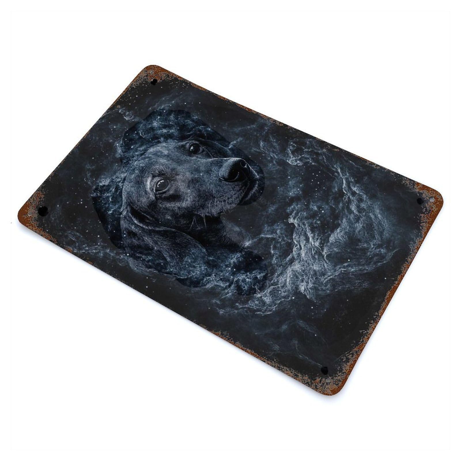 Vintage Rust Metal Sign Dog in Space Dachshund Nebula 11.8"x7.9", Decorative Metal Wall Art for Basement, Hobby Room And Garage Decor