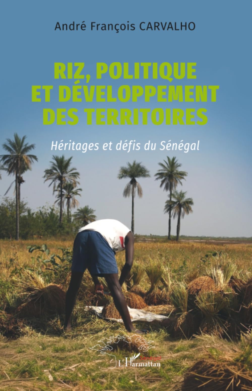 Riz, politique et développement des territoires: Héritages et défis du Sénégal