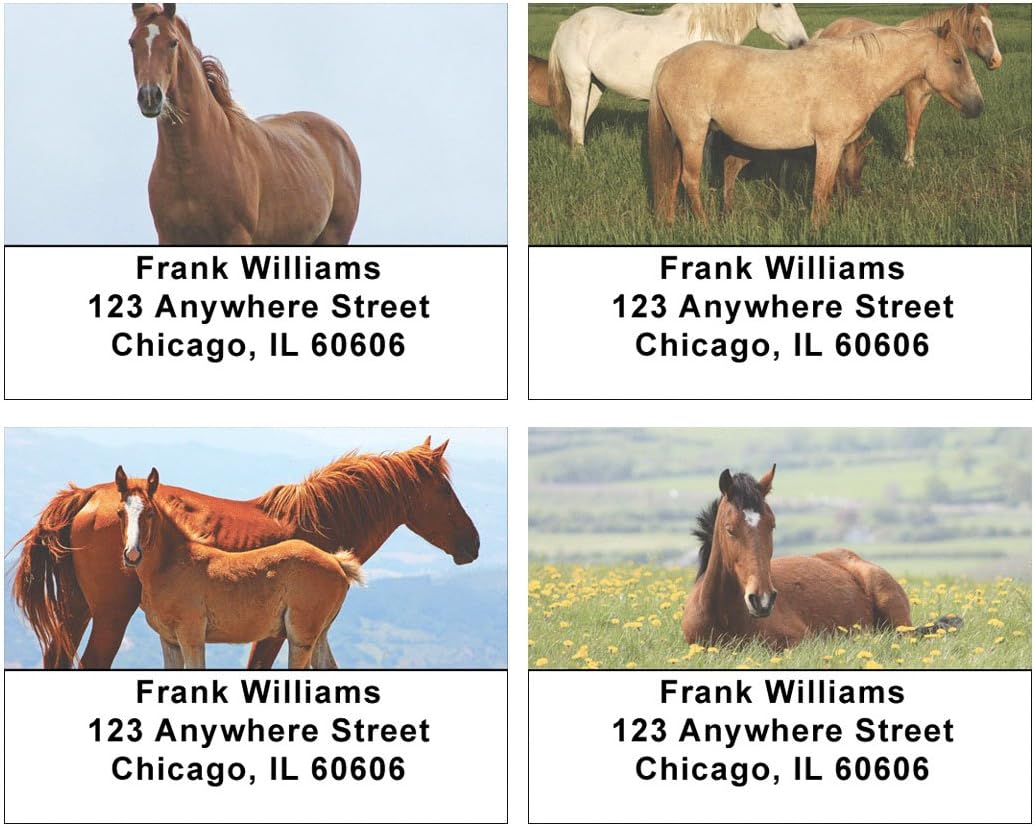 Horses Address Labels