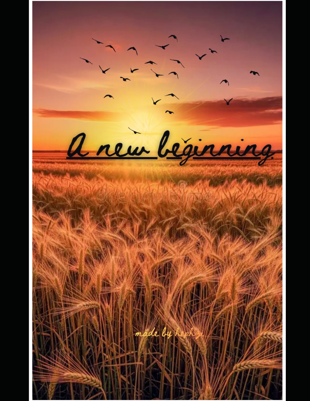 A New Beginning